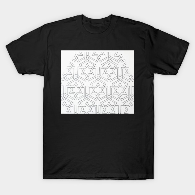 Geometry 101 T-Shirt by Aladdins Vault